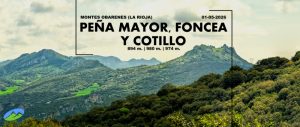 Foncea