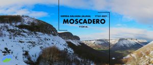 Moscadero
