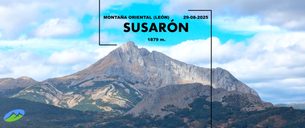 Susarón
